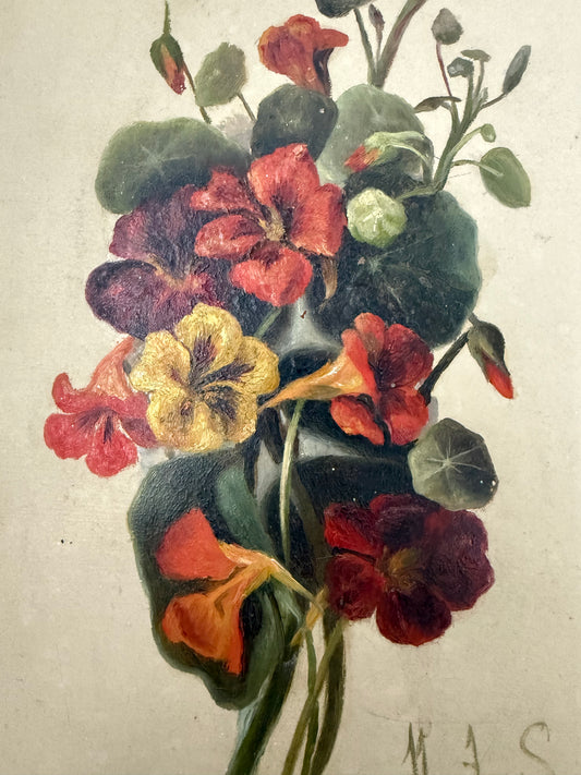 Nasturtiums