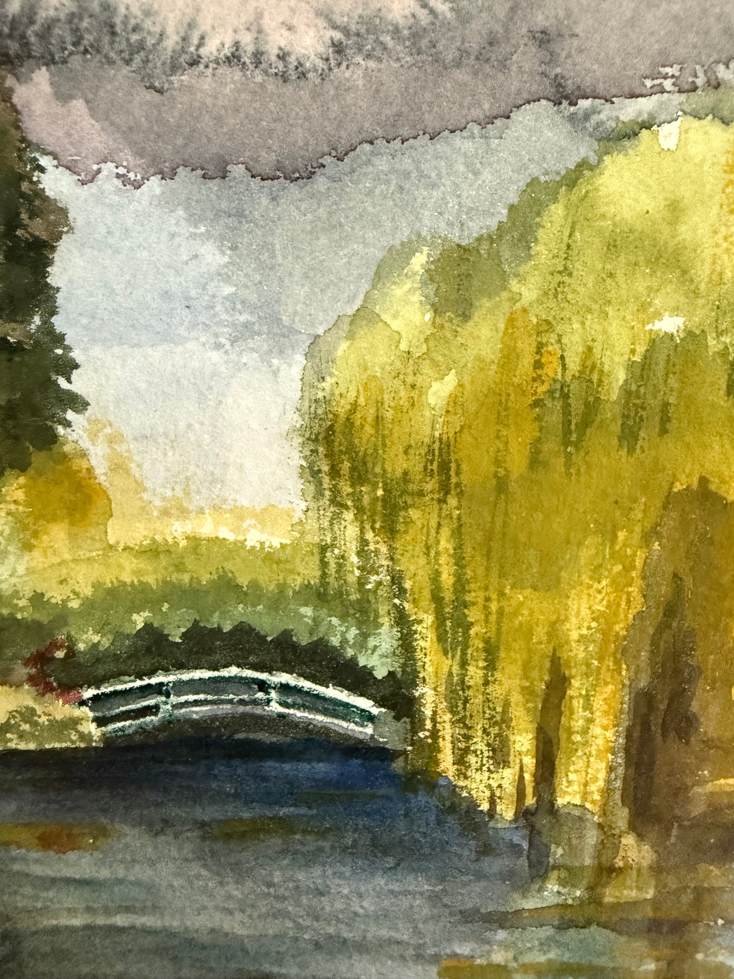 The Willow