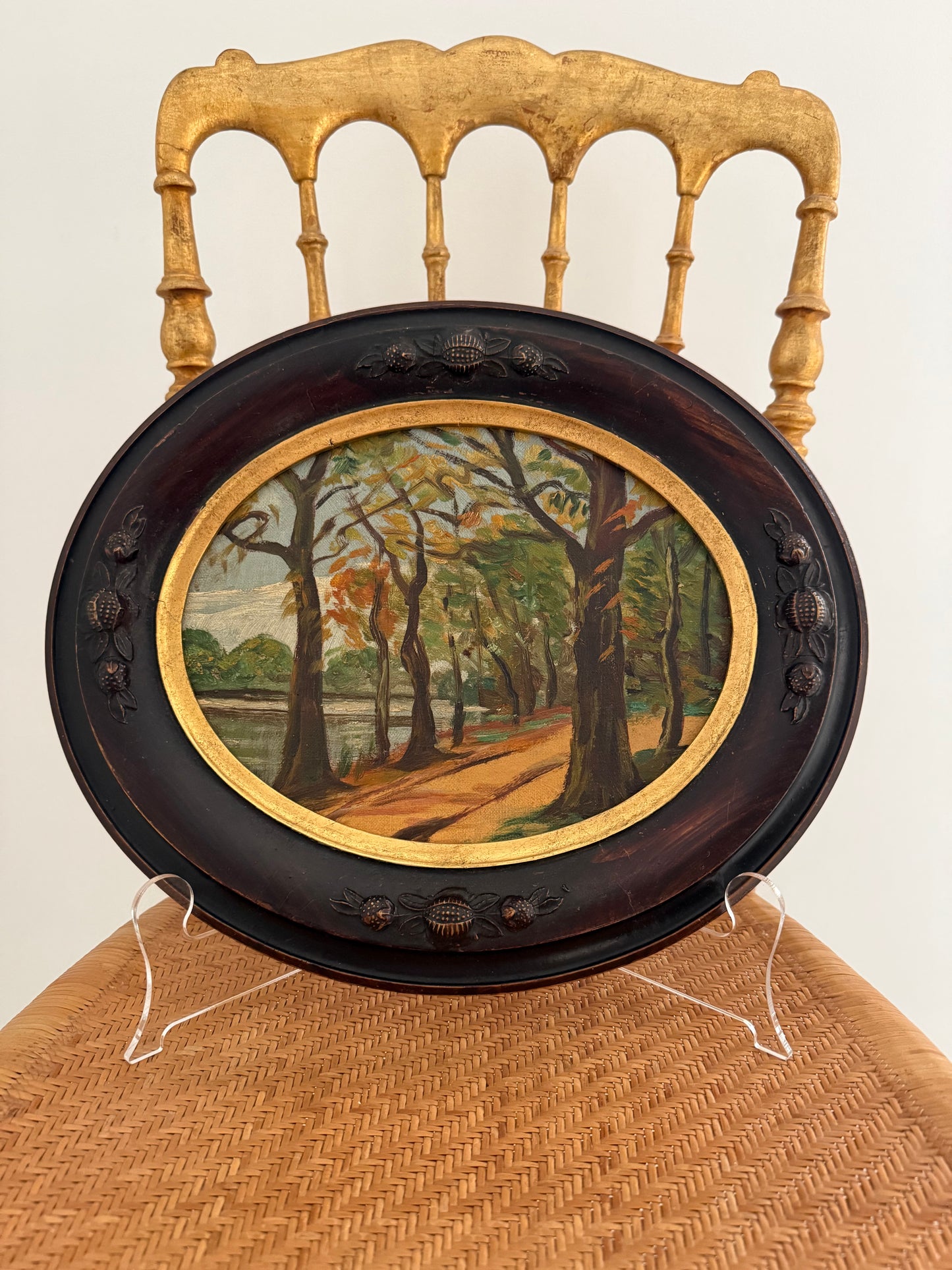 East Coast Forest Scene