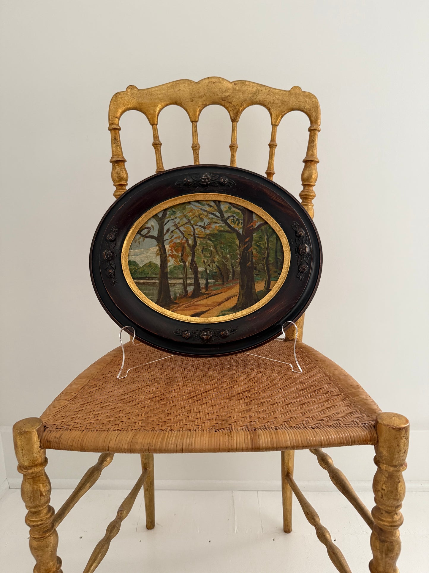 East Coast Forest Scene