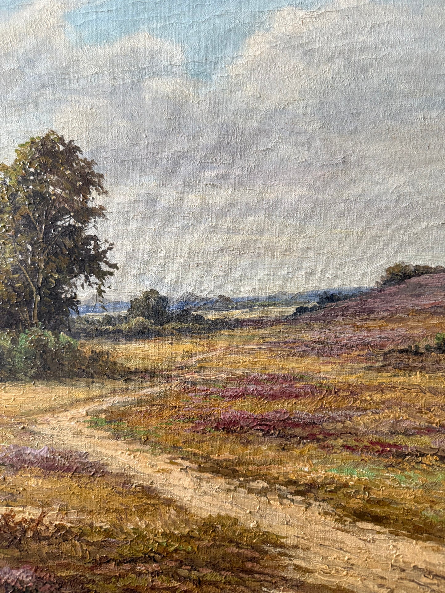 Heather Fields