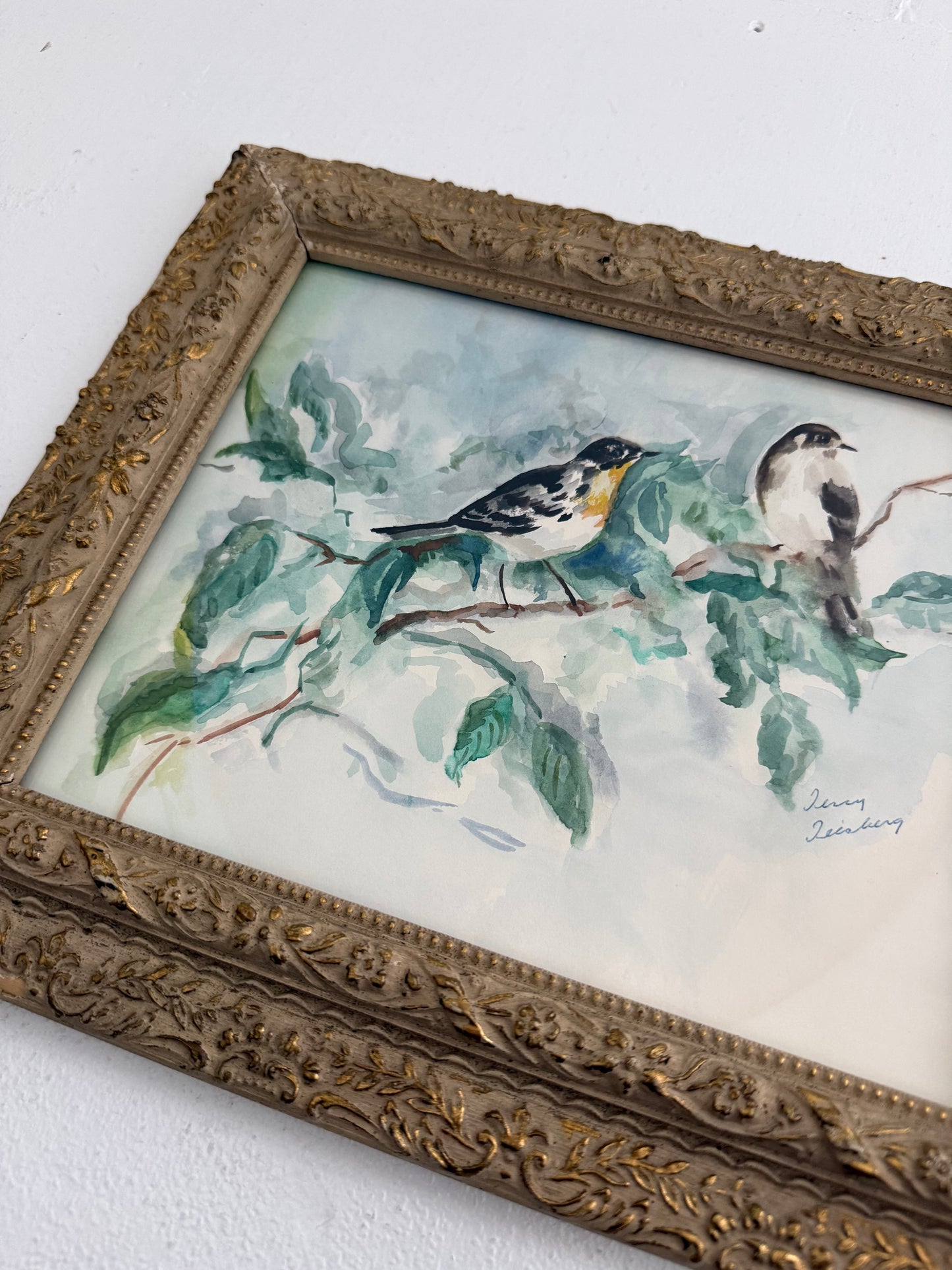 Yellow Throated Warblers
