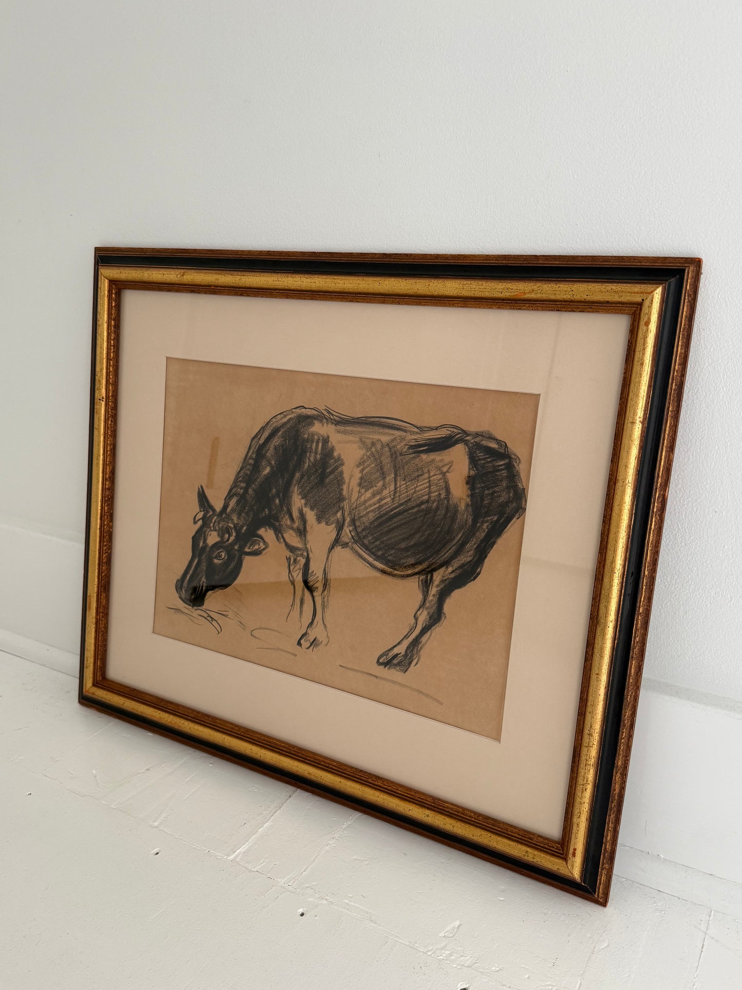 Cow Charcoal