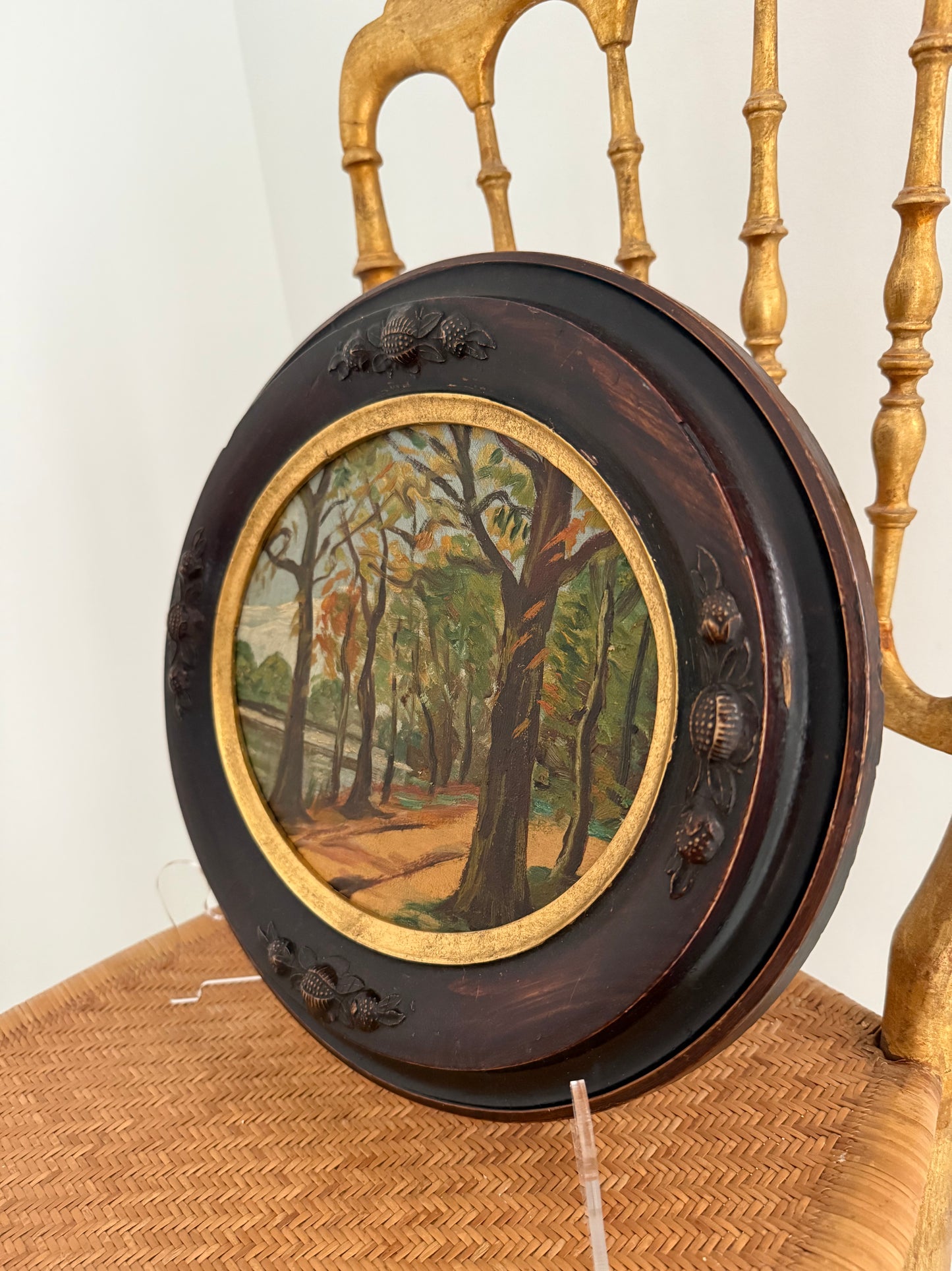 East Coast Forest Scene