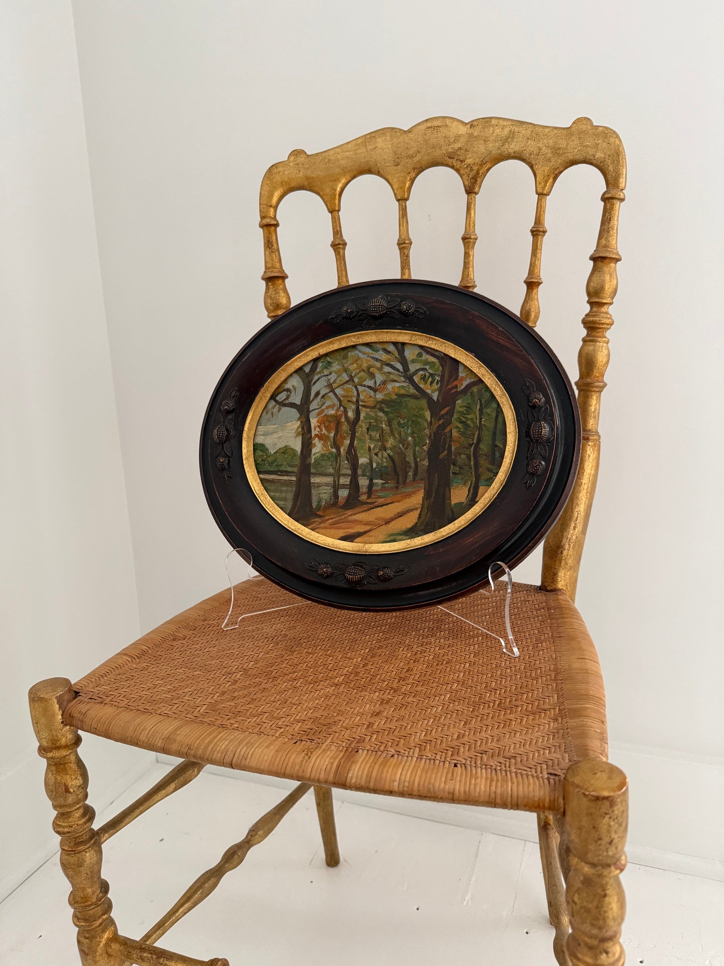 East Coast Forest Scene