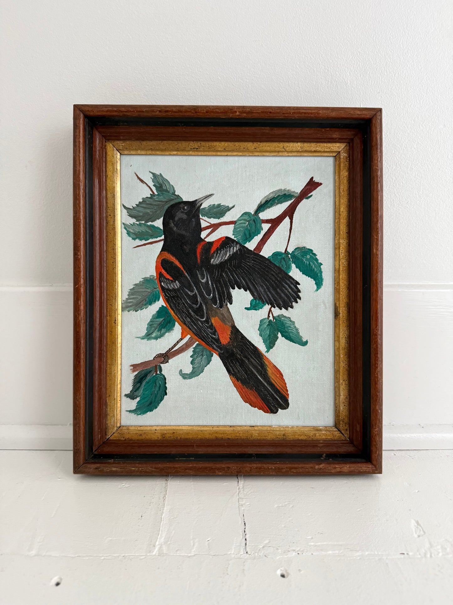 Oriole