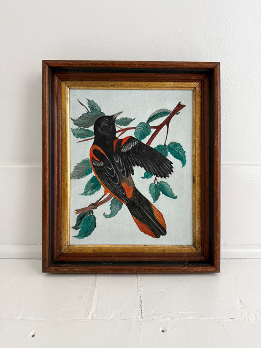 Oriole