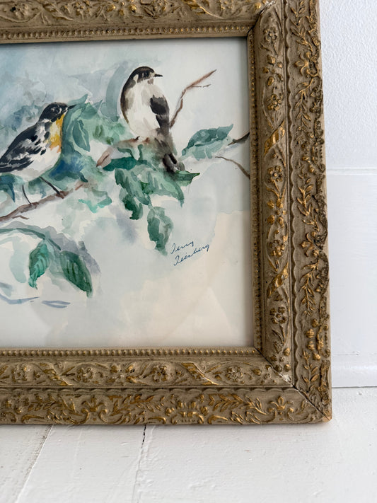Yellow Throated Warblers