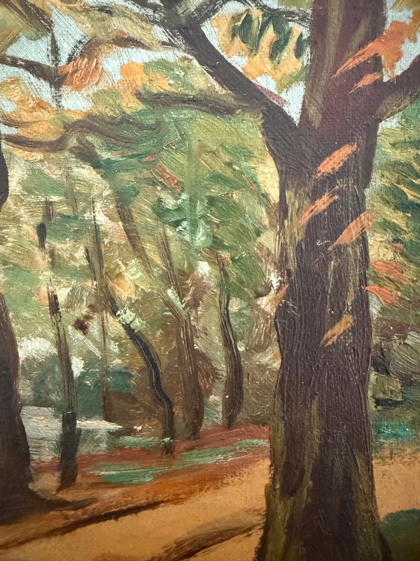 East Coast Forest Scene