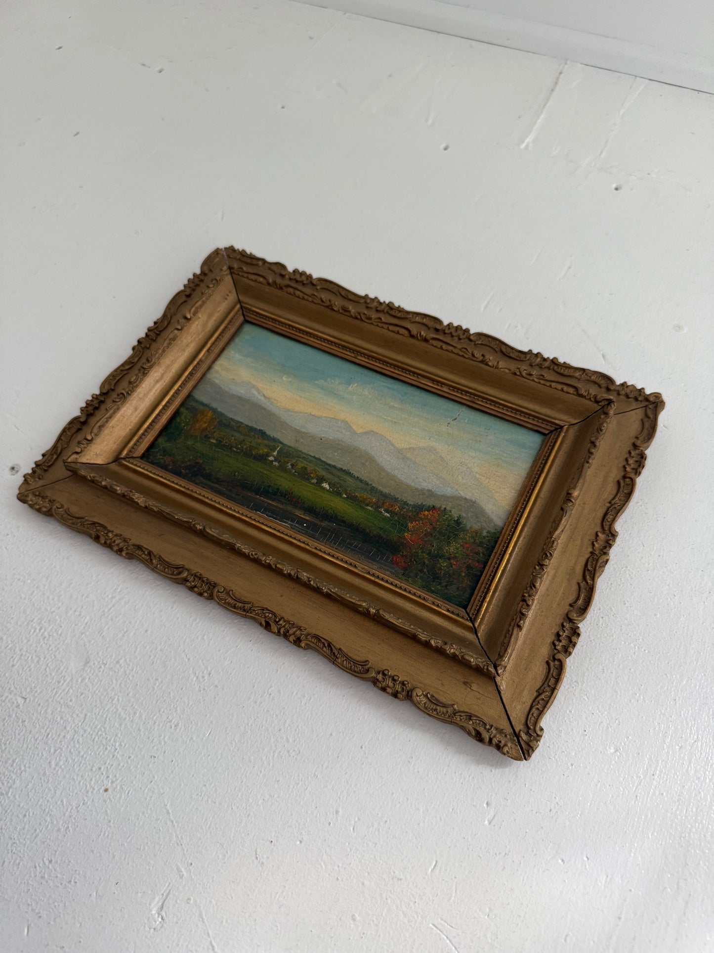 Miniature Mountain Valley Landscape