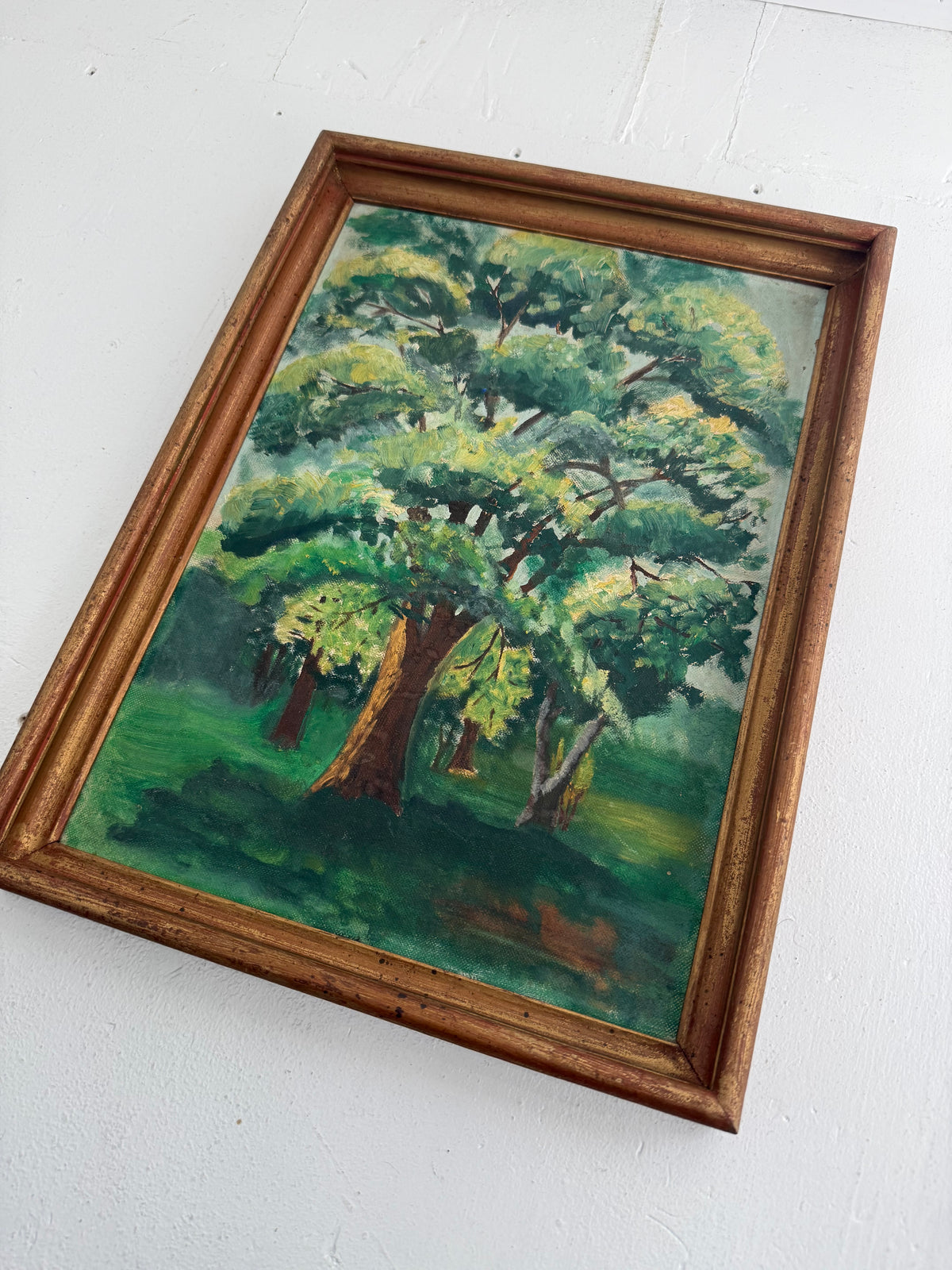 Tree of Life